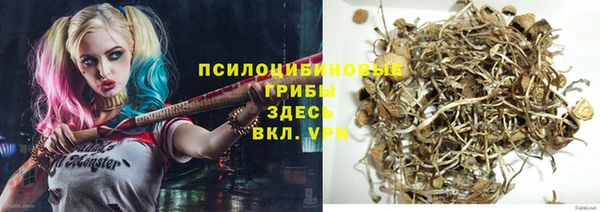 скорость mdpv Белокуриха