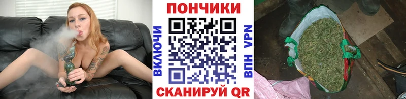 Шишки марихуана семена  hydra ТОР  Шилка 